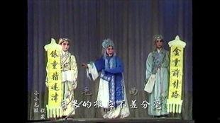 评剧视频下载,传承经典，尽享视听盛宴